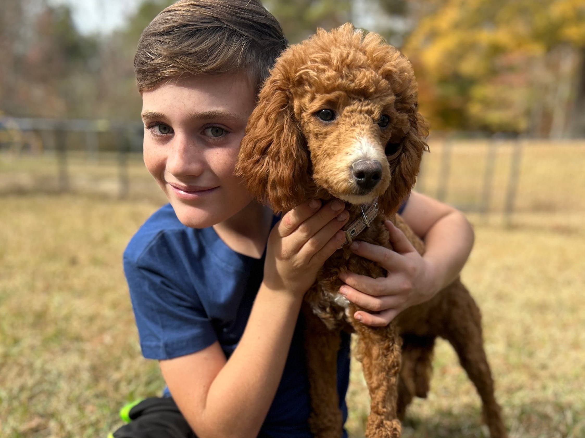 Mercy Lane Poodles
